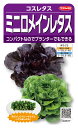 ロメインレタス 種 『ミニロメインレタス』 サカタのタネ