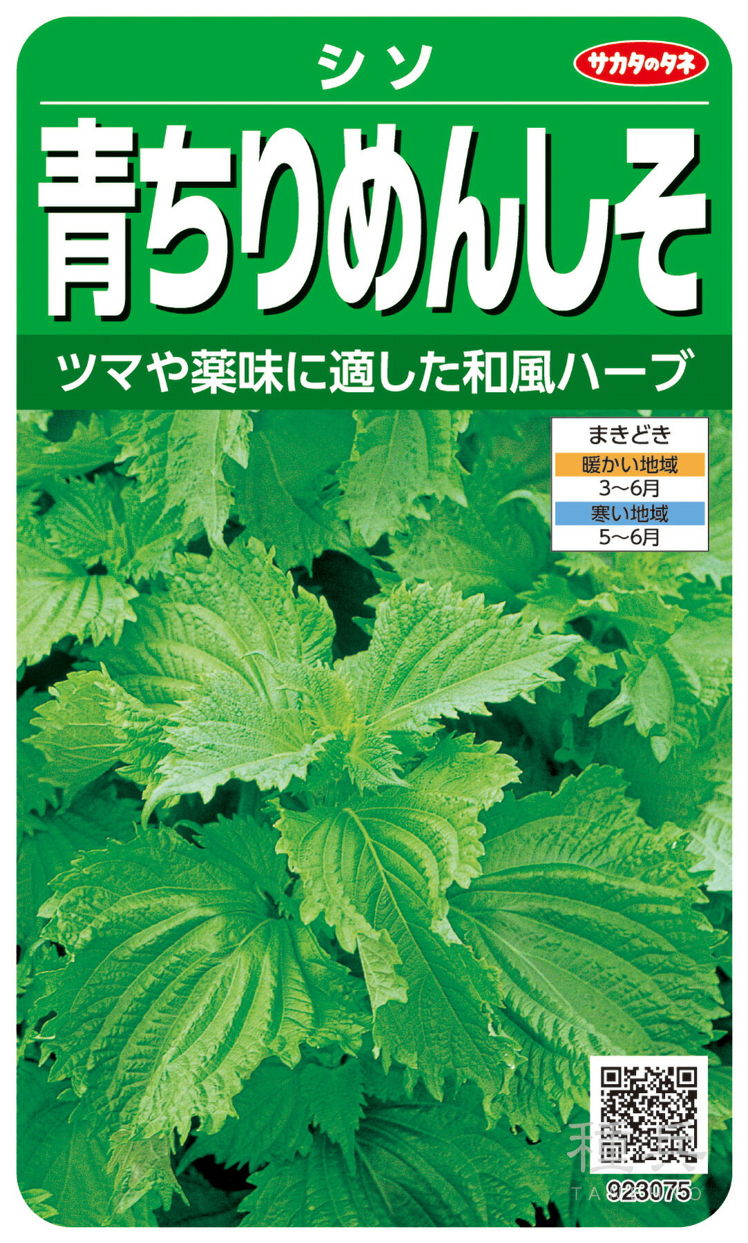 シソ 種 『青ちりめんしそ』 サカタのタネ
