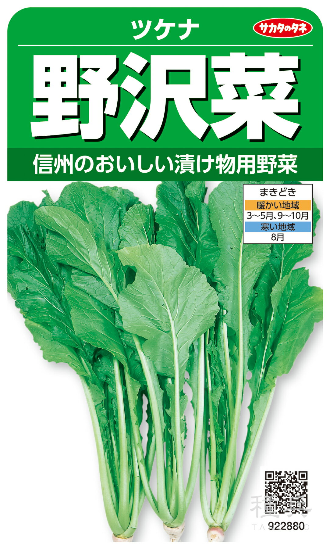 ツケナ 種 『野沢菜』 サカタのタネのサムネイル