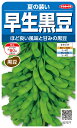 黒豆エダマメ 種 『夏の装い』 サカタのタネ