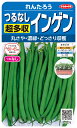 つるなしインゲン 種 『れんたろう』 サカタのタネ