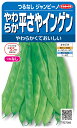 つるなしインゲン 種 『ジャンビーノ(つる無し)』 サカタのタネ