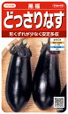 ナス 種 『黒福』 サカタのタネ
