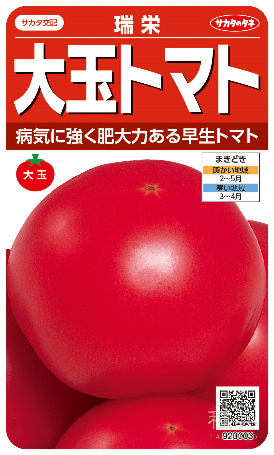 大玉トマト 種 『瑞栄』 サカタのタネ