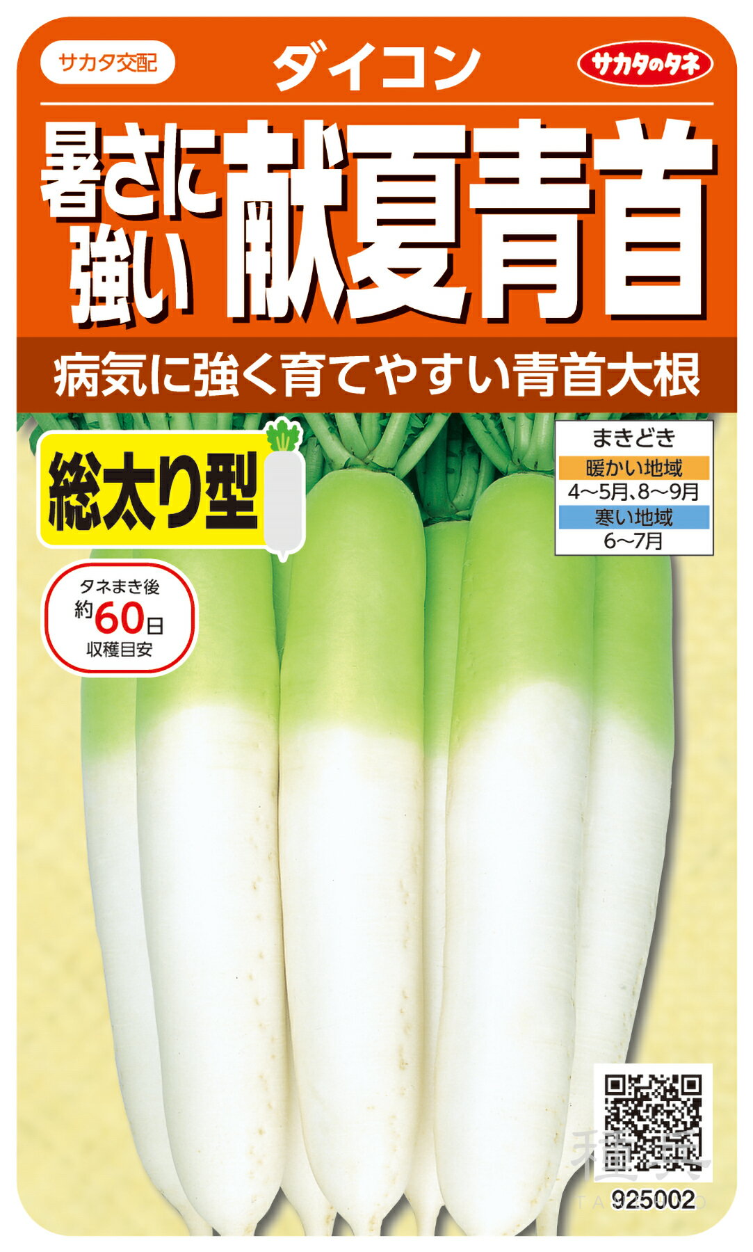 青首ダイコン 種 『献夏青首』 サカタのタネのサムネイル