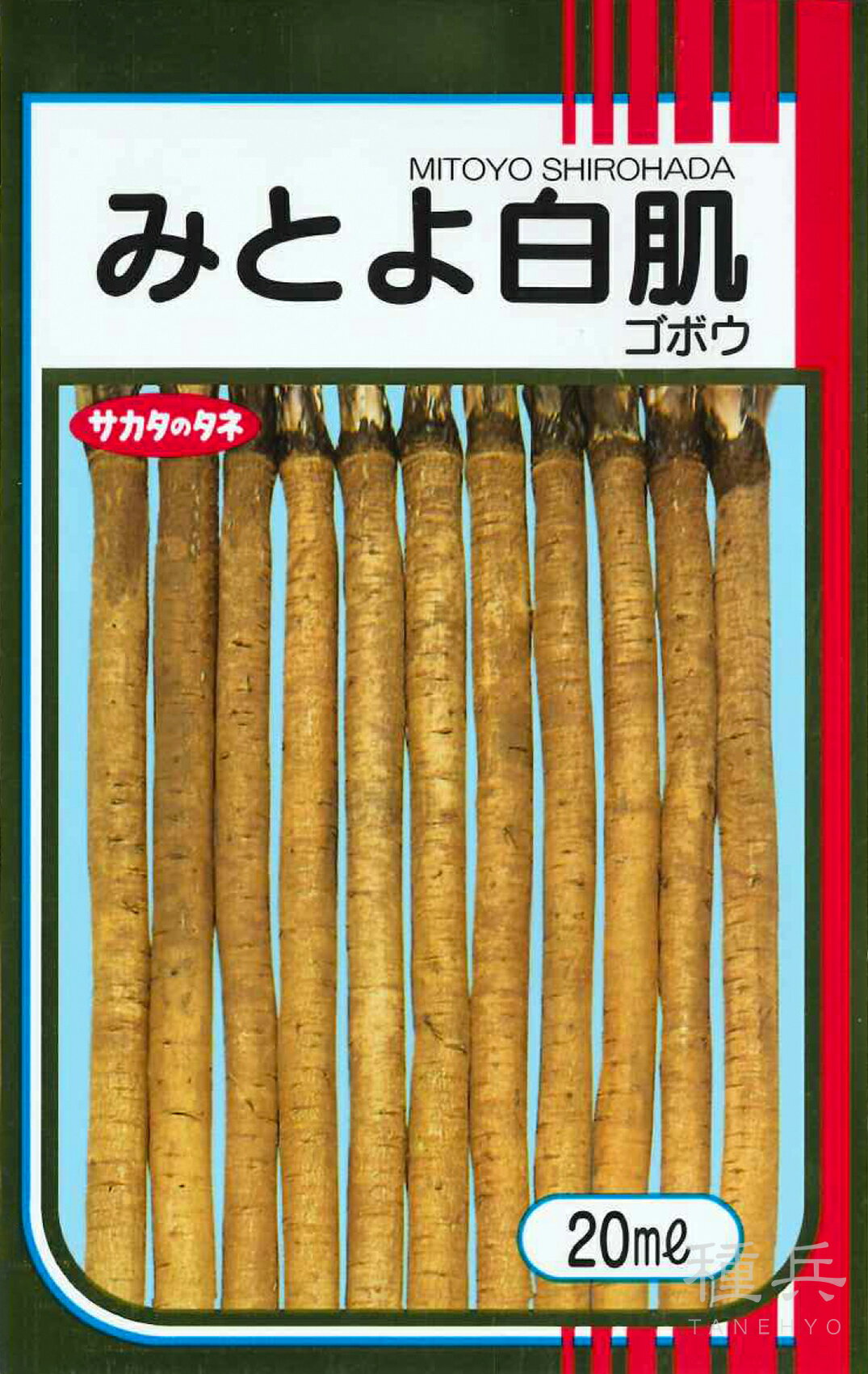 ゴボウ 種 『みとよ白肌』 サカタのタネ