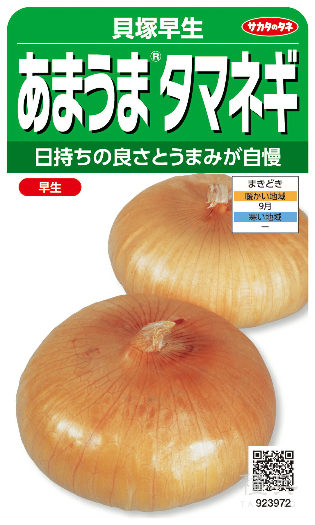 ʼͥåȥåԥ󥰤㤨֥ޥͥ  س Υ͡פβǤʤ385ߤˤʤޤ