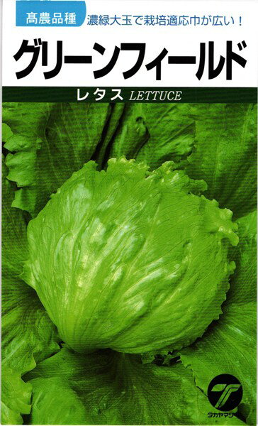 結球レタス 種 『グリーンフィールド』 タカヤマシード/小袋（1.4ml）