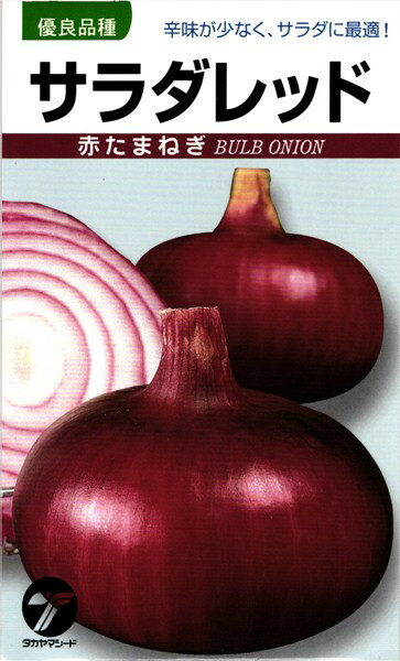 ※この種1mlあたり粒数の目安…125〜150粒辛味が少なく、サラダに最適！【特長】1．生育は旺盛で、病気に強く、抽苔も少なく作　　り易い中生の生食用赤玉葱で、食味、色沢　　ともに優れている。2．草丈は80cm位で、収穫時の生葉数は7枚位　...