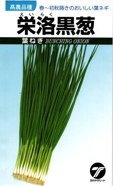 葉ネギ 種 『栄洛黒葱』 1Lタカヤマシード