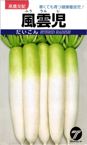 ダイコン 種 『風雲児』 タカヤマシード/2dl