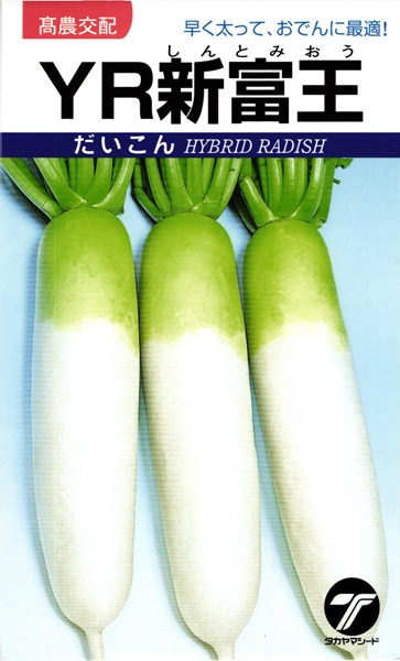 ダイコン 種 『YR新富王』 タカヤマシード/20ml