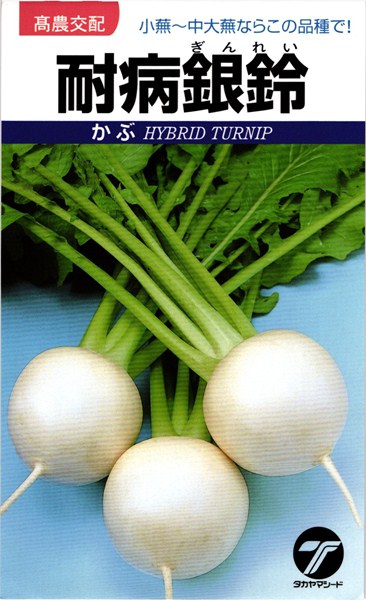 小～中カブ 種 『耐病銀鈴』 タカヤマシード/小袋（4ml）
