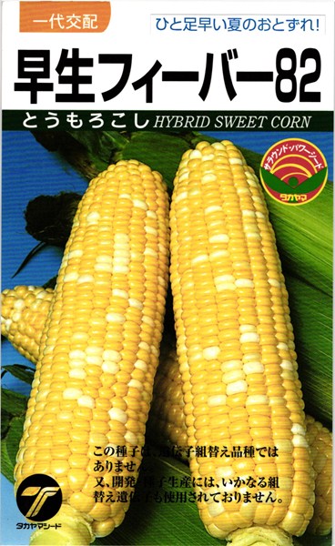 スイートコーン 種 『早生フィーバー82』 タカヤマシード/小袋（30ml）