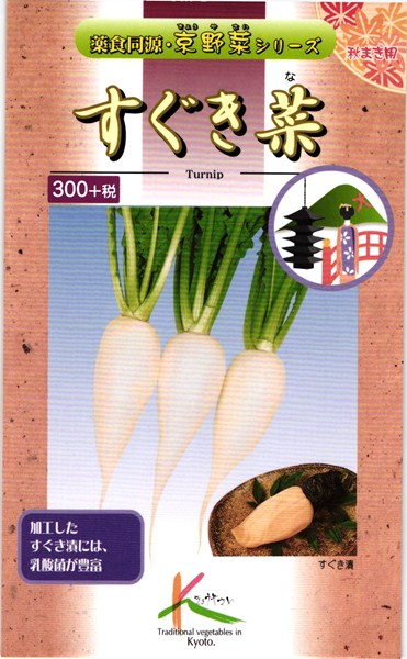 京野菜 種 『すぐき菜』 小袋（10ml） タカヤマシード