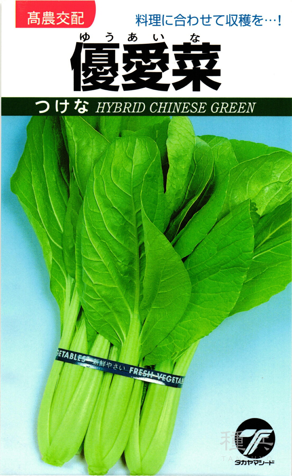 ʼͥåȥåԥ󥰤㤨֥ĥ  ͥڡ ޥɡפβǤʤ330ߤˤʤޤ