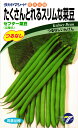 つるなしインゲン 種 『セプター菜豆』 タカヤマシード