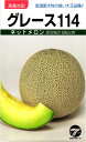 ネットメロン 種 『グレース114』 タカヤマシード