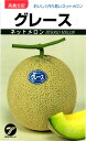 ネットメロン 種 『グレース』 タカヤマシード
