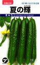 キュウリ 種 『夏の輝』 タカヤマシード