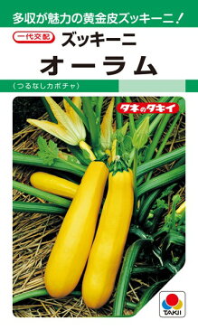 ズッキーニ 種 『オーラム』 100粒 タキイ種苗