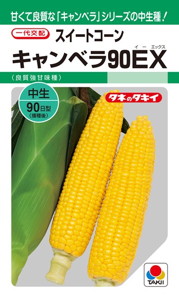 スイートコーン 種 『キャンベラ90EX』 ACR600 タキイ種苗/200粒のサムネイル