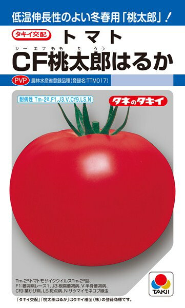 トマト 種 CF桃太郎はるか ATM01N タキイ種苗/16粒 DF 