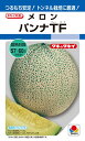 ※この種1mlあたり粒数の目安…15〜20粒つるもちと日もち性にすぐれたトンネル栽培に最適な緑肉メロン！【特長】●高温期のトンネル栽培に最適熟期は57〜60日型の中晩生種。草姿は葉肉が厚く小葉、短節間でゆっくり生育するため、高温期の収穫でもつるもちがよくトンネル栽培に最適。●果ぞろいがよく秀品率が高い果形は球形で、ネットが交配後2週間程度で全面に発生するため、果ぞろいがよく秀品率が高い。●果肉の日もちがよい肉色は黄緑色。肉質はかためで、高温期の収穫でも日もちがよい。●病気に強く作りやすいトンネル栽培でも病気にかかりにくく、つる割病（F：レース0、2）に耐病性があり、うどんこ病（PM）にも強い。【栽培の要点】●初期生育を安定させる初期生育がゆっくりしているため、早まきは避けて温度確保に努め、初期生育を安定させる。●交配期まではゆっくり生育させる初期生育が安定してくれば、交配期までは換気に注意し、潅水を極力控えてゆっくり生育させる。ただし、着果枝の伸びが悪い場合は着果枝が伸び始めの時に潅水し、交配直前の潅水は避ける。●ネット発生時の管理に注意ネットが他品種よりも早く、交配後2週間程度で全面に発生してくるため、ネット発生時の管理に注意する。●肥大期はムラのない潅水に努めるネット発生期以降はムラのない潅水を心掛け、草勢を低下させないよう順調に肥大させる。●適熟果収穫に努める若どりすると肉質がかたく食味を損なうことがあるので、適熟果収穫に努める。※うどんこ病は菌の種類によっては発病する場合があります。 ご注文の際は必ずお読みください 【商品の出荷について】 ◆お取り寄せ品につき、出荷までに若干の日数を頂戴しております（通常2〜7営業日程度）。 ◆メーカーの在庫状況によっては、出荷までしばらくお待ちいただく場合や、キャンセルさせていただく場合があります（メールでお知らせ致します）。 ◆ご注文の一部が在庫切れの場合、在庫のある商品を先に出荷し、在庫切れ品は入荷後の出荷とさせていただきます（後送分の送料は当店にて負担致します）。 ◆メール便は普通郵便を使用するため、到着まで日数がかかる場合があります。宛先へのポスト投函で配達完了となり、荷物の追跡はできません。また、土日祝日は配達されません。 【種子について】 ◆ご注文の時点でのメーカー在庫のお取り寄せとなりますので、ご注文の時期よっては種子の有効期限が間近な商品となる場合があります。 ◆種子は発芽試験を受けた純良なものをご用意させていただきますが、播種後、温度や水分などが不適な条件下では発芽しない場合があります。 ◆栽培条件・天候等により生育に差が生じることがあり、また、結果が異なる場合があります。むやみな早まき遅まきを避け、適期の播種を心がけてください。 ◆種子のパッケージは、内容量の違いやデザインの変更などにより、写真と異なる場合があります。 以上、ご注文に際し予めご了承下さい。