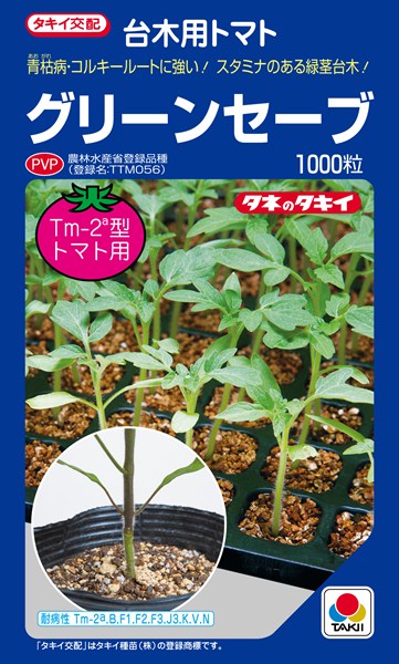トマト台木 種 『グリーンセーブ』 ATM01Y タキイ種苗/1000粒