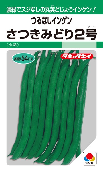 つるなしインゲン 種 『さつきみどり2号』 ASA126 タキイ種苗/27ml(MF)のサムネイル