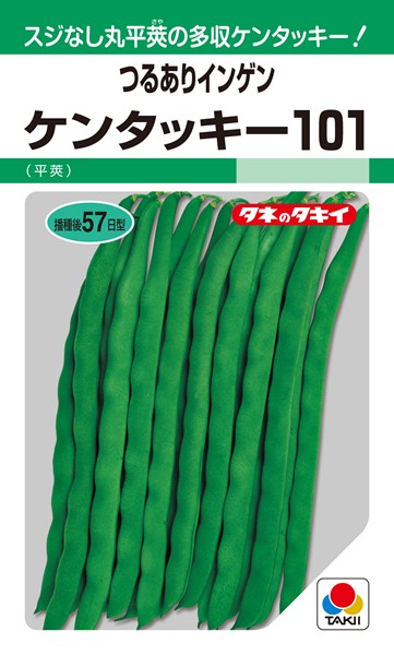 つるありインゲン 種 『ケンタッキー101』 ASA156 タキイ種苗/27ml(MF)のサムネイル