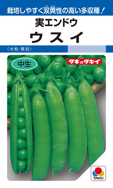 実エンドウ 種 『ウスイ』 AEN121 タキイ種苗/18ml(GF)のサムネイル