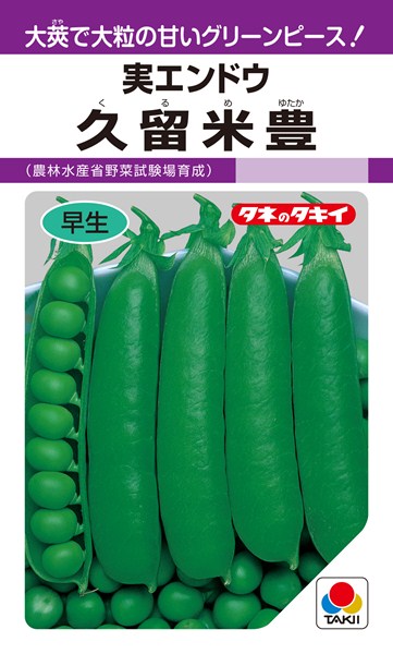 実エンドウ 種 『久留米豊』 AEN132 タキイ種苗/18ml(GF)