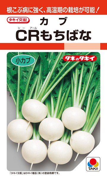 小カブ 種 『CRもちばな』 AKA023 タキイ種苗/20ml