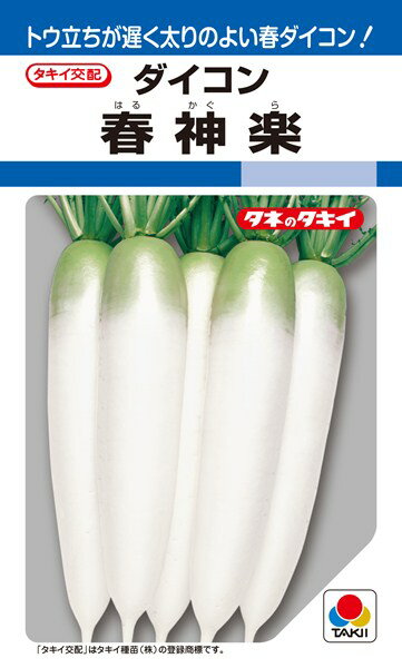春～夏どりダイコン 種 『春神楽』 ADA003 タキイ種苗/3.5ml(DF)のサムネイル