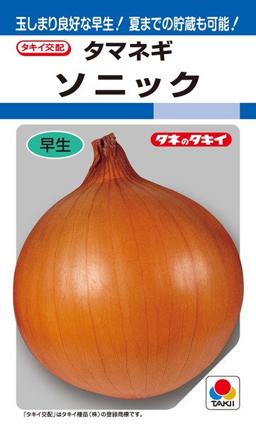 タマネギ 種 『ソニック』 ATA005 タキイ種苗/2.2ml(RF)のサムネイル