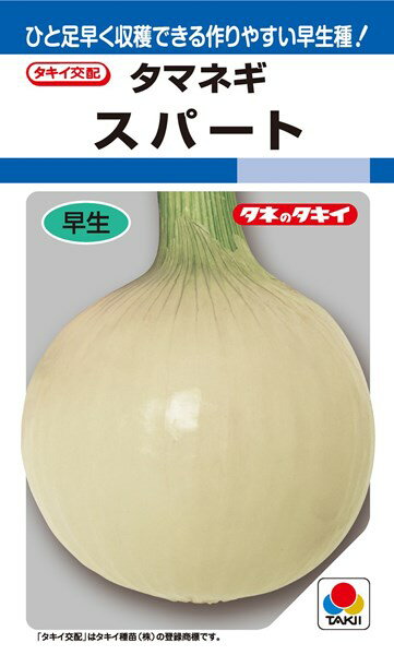 タマネギ 種 『スパート』 ATA010 タキイ種苗/3.5ml(DF)のサムネイル