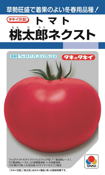 ※この種1mlあたり粒数の目安…90粒安定したスタミナで長期栽培に向く、大玉・多収の冬春用桃太郎！【特長】●安定したスタミナで長期栽培に適する草勢が強く、長期栽培において栽培終盤まで収量 ・品質が安定する。●多花で着果性にすぐれる良質な大花が多数咲き、着果が安定。●障害果の発生が少ないすじ腐れ果や軟果などの発生が少なく、5月以降に発生の多い肩部黄変も少ない。●果実肥大力にすぐれ、品質も良好果形は腰高豊円で商品率が高く220〜230gに仕上がる。 硬玉で店もちがよく、バランスのよい糖酸比で食味がよい。●安定した耐病性トマトモザイクウイルス（Tm-2a型）、萎凋病レース1（F 1）およびレース2（F 2）、根腐萎凋病（J 3）、半身萎凋病（V）、葉かび病（Cf 9）、斑点病（LS）、サツマイモネコブ線虫（N）に複合耐病性をもつ。【栽培の要点】●適作型促成栽培に最も適し、半促成栽培や抑制栽培にも適する。●元肥と定植苗のステージ生育が旺盛なため元肥は控え、極端な若苗定植を避ける。 抑制栽培では蕾の見え始め、促成・半促成栽培ではガク割れ〜開花始めのころが定植適期。●追肥定植後最初の追肥は、第3花房開花期が目安。1回の追肥量は少なめで、草勢を見ながら小まめに施用する。●摘果花数は多めで摘果が必要。 各段4果程度に摘果する。 低温少日照期は順調な色まわしと空洞果対策に玉だしを行い、果実に日光を当てる。 ご注文の際は必ずお読みください 【商品の出荷について】 ◆お取り寄せ品につき、出荷までに若干の日数を頂戴しております（通常2〜7営業日程度）。 ◆メーカーの在庫状況によっては、出荷までしばらくお待ちいただく場合や、キャンセルさせていただく場合があります（メールでお知らせ致します）。 ◆ご注文の一部が在庫切れの場合、在庫のある商品を先に出荷し、在庫切れ品は入荷後の出荷とさせていただきます（後送分の送料は当店にて負担致します）。 ◆メール便は普通郵便を使用するため、到着まで日数がかかる場合があります。宛先へのポスト投函で配達完了となり、荷物の追跡はできません。また、土日祝日は配達されません。 【種子について】 ◆ご注文の時点でのメーカー在庫のお取り寄せとなりますので、ご注文の時期よっては種子の有効期限が間近な商品となる場合があります。 ◆種子は発芽試験を受けた純良なものをご用意させていただきますが、播種後、温度や水分などが不適な条件下では発芽しない場合があります。 ◆栽培条件・天候等により生育に差が生じることがあり、また、結果が異なる場合があります。むやみな早まき遅まきを避け、適期の播種を心がけてください。 ◆種子のパッケージは、内容量の違いやデザインの変更などにより、写真と異なる場合があります。 以上、ご注文に際し予めご了承下さい。