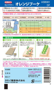 カリフラワー 種 『オレンジブーケ（オレンジドーム）』 0.6ml(RF) タキイ種苗