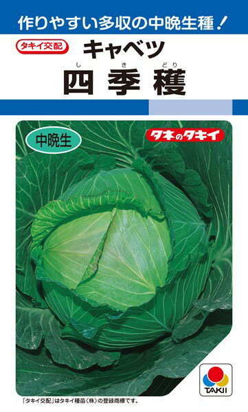 年内～冬どりキャベツ 種 『四季穫』 ACA022 タキイ種苗/2000粒