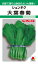 シュンギク 種 『大葉春菊』 ASN102 タキイ種苗/1L 2,640円