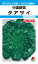 タアサイ 種 『タアサイ』 ATU171 タキイ種苗/9ml(MF) 236円