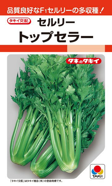 家庭菜園のプロ監修 セロリの上手な育て方 種まきや育苗 収穫方法を解説 農業 ガーデニング 園芸 家庭菜園マガジン Agri Pick