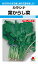 カラシナ 種 『葉からし菜』 ATK101 タキイ種苗/9ml(MF) 236円