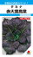 タカナ 種 『赤大葉高菜』 ATK103 タキイ種苗/1dl 1,815円