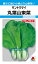 サントウサイ 種 『丸葉山東菜』 ATU303 タキイ種苗/7ml(MF) 236円