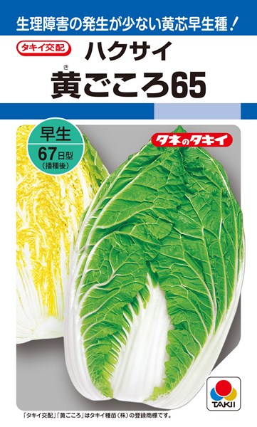 黄芯ハクサイ 種 黄ごころ65 AHA016 タキイ種苗/ペレット小袋100粒