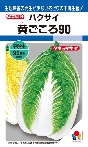 黄芯ハクサイ 種 黄ごころ90 AHA021 タキイ種苗/ペレットL5000粒