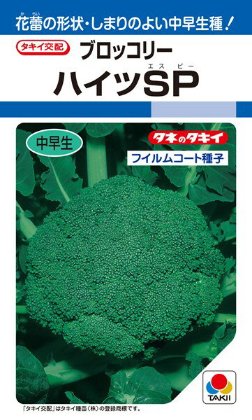 ブロッコリー 種 『ハイツSP』 ABR022 タキイ種苗/160粒(DF)