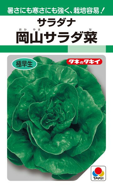 サラダナ 種 『岡山サラダ菜』 ALE101 タキイ種苗/20ml